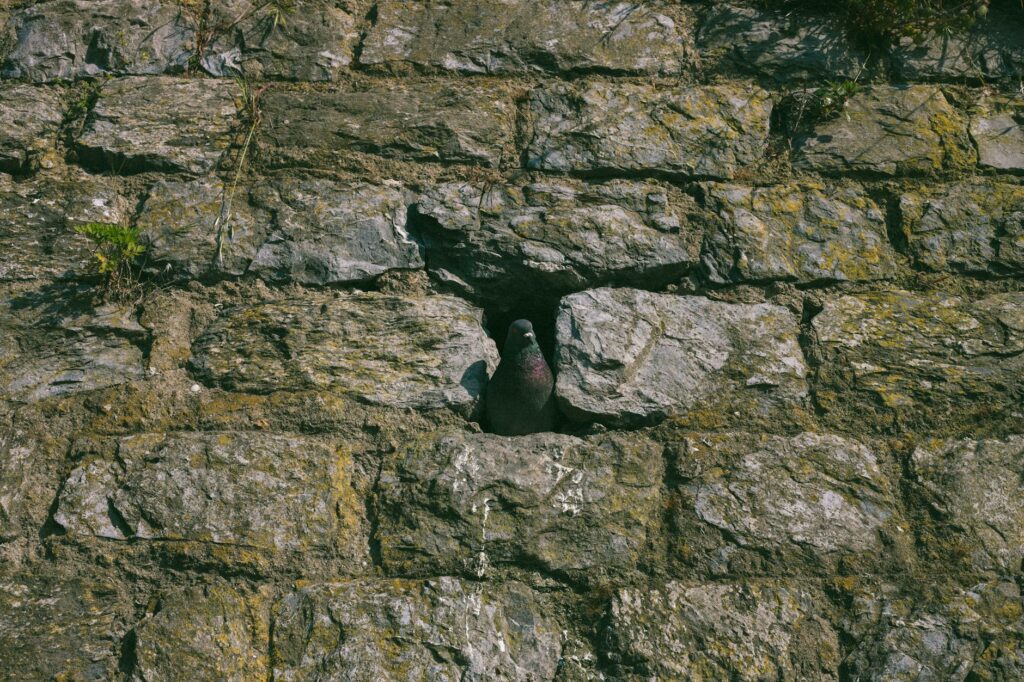 Historia początku (2025)