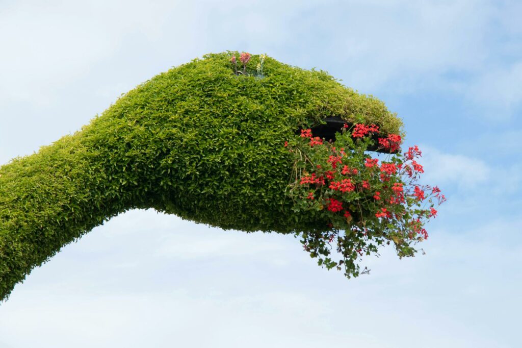 Botany Floral Dragons