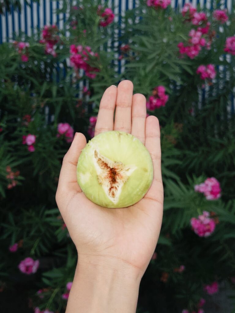 Complementary Produce