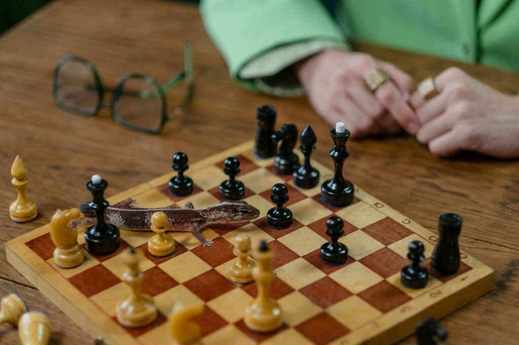 Frog Chess Review by Jazz Paladin