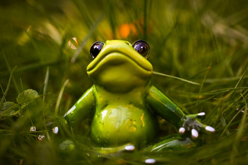 Frog Chess Review by Jazz Paladin
